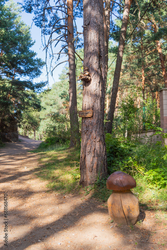 wooden figures in an enchanted forest