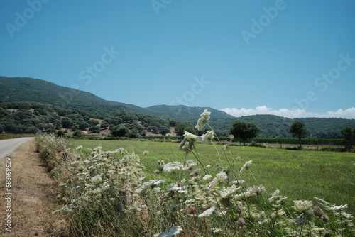 Paesaggio rurale in Corica Francia photo