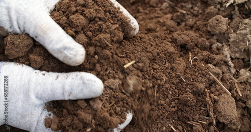 farmer examining soil in hands agriculture