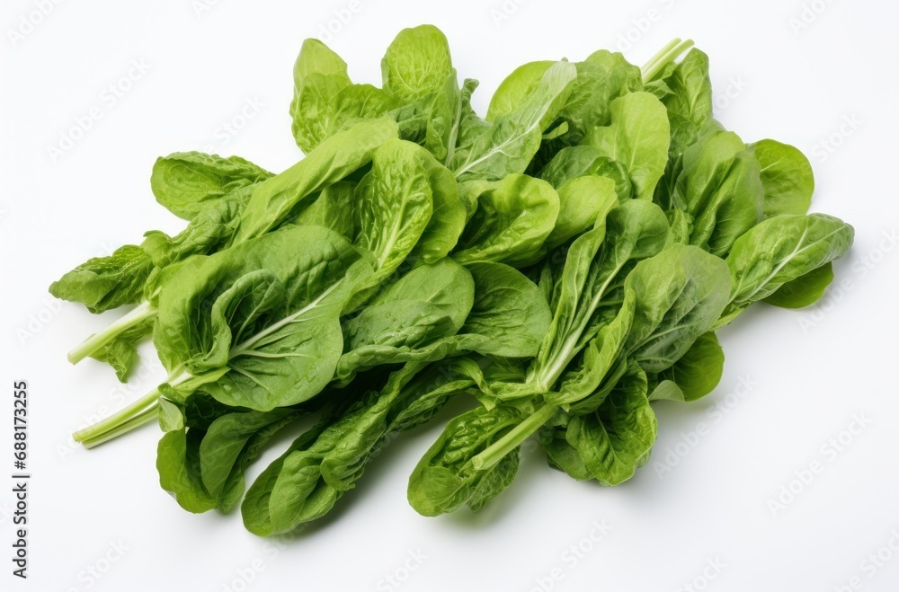 some leafy greens are on a white background, isolated some leafy greens are on a white background, isolated