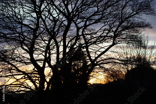 Sunset Silhouette through Trees at Lothersdale, North Yorkshire, England, UK