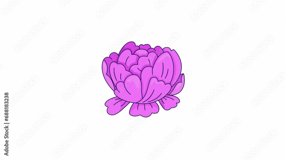 Pink peony flower swaying line 2D object animation. Single flower summer blossom flat color cartoon 4K video, alpha channel. Early spring garden blooming nostalgia animated item on white background Pink peony flower swaying line 2D object animation. Single flower summer blossom flat color cartoon 4K video, alpha channel. Early spring garden blooming nostalgia animated item on white background