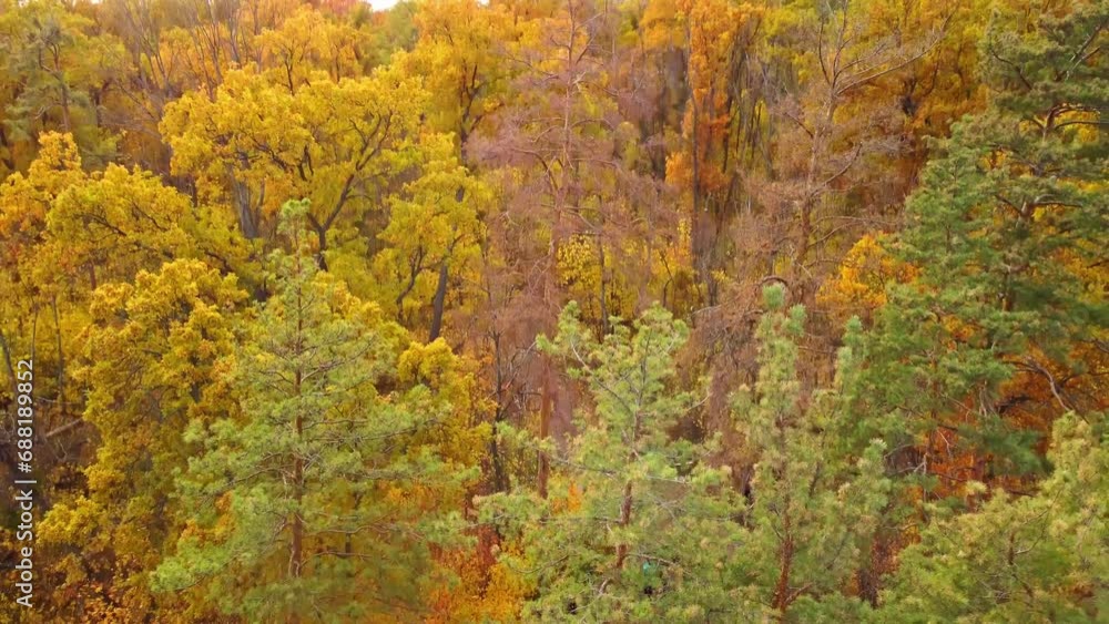 Aerial boomshot view on viewing point on Cossack mountain in autumn colorful forest. Korobovy Hutora (Koropove village) on Siverskyi Donets River in Ukraine Aerial boomshot view on viewing point on Cossack mountain in autumn colorful forest. Korobovy Hutora (Koropove village) on Siverskyi Donets River in Ukraine
