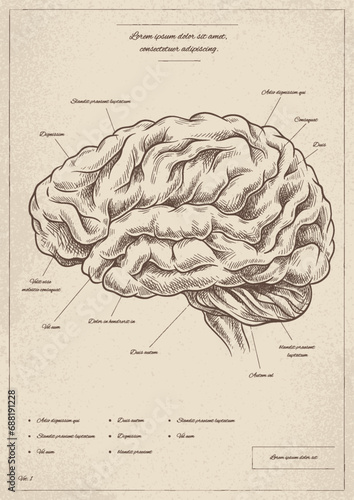 Medical vintage poster with brain vector