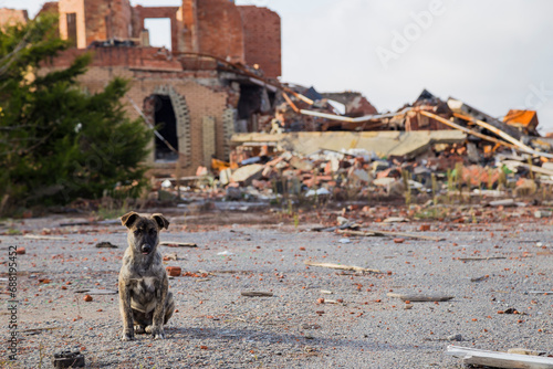 Russia destroyed a school with its bombs, if you buy this photo, you will greatly help Ukraine!!!