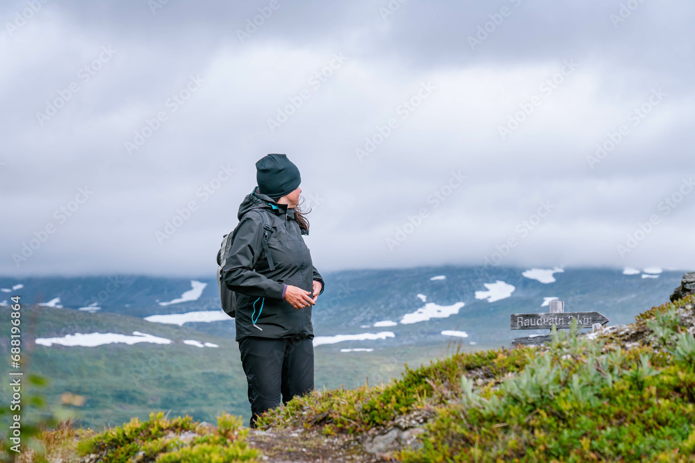 Mature woman stands and looking back over mountains and lake while hiking high in Norwegian mountains. Healthy lifestyle. Norway, Krutvatnet. Side close up view