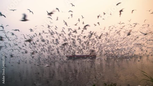 Scenic Boat ride at Yamuna Ghat of New Delhi, India photo