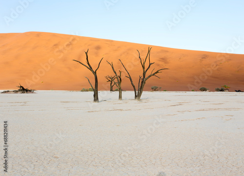 A beautiful landscape in Deadvlei