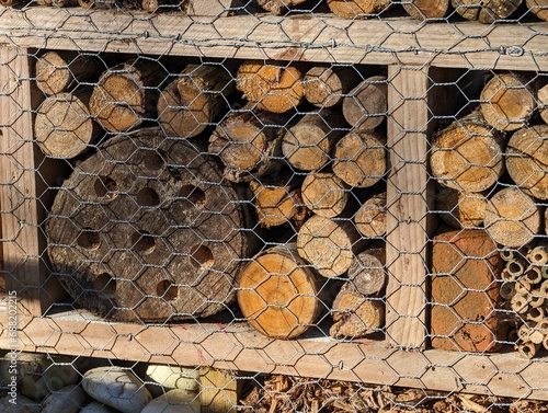 Man made shelter for various insects.