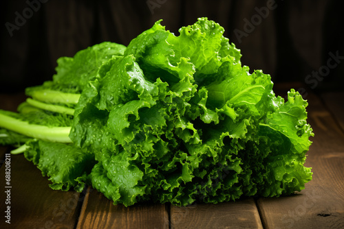 Fresh Lettuce Greens, Organic and Healthy Salad Base