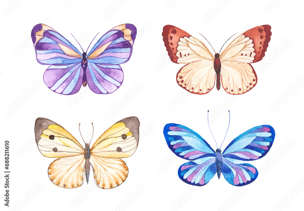 Vector illustration of watercolor butterflies isolated on white ...