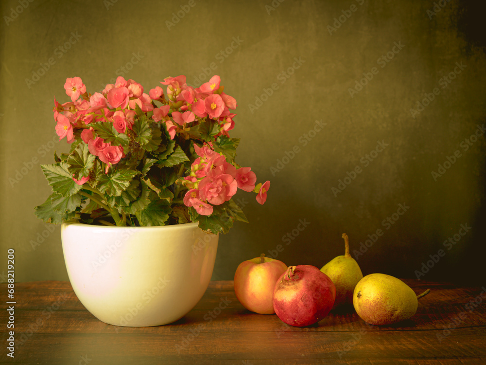 Still life with Begonia flower and fruits apples and pomegranates.