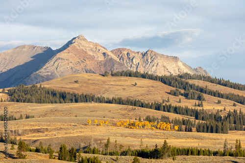 Yellow aspens in front of a mountain in Yellowstone National Park
