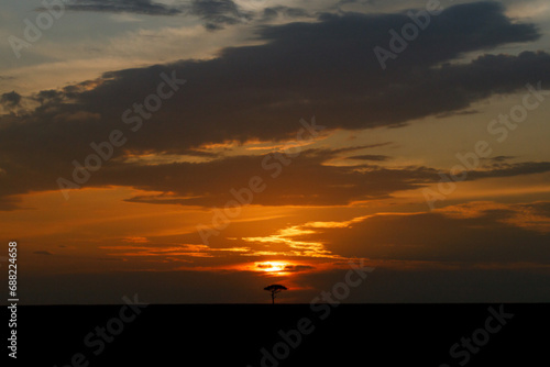 A beautiful landscape photo shot in Masai Mara Kenya  the photo also shows vast dramatic sky at sunset