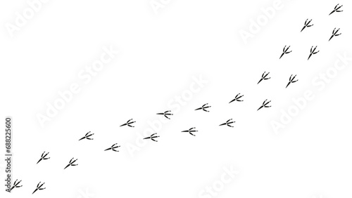 Path footprints of crow, raven, magpie, sparrow, dove, bird. Crow paw print, silhouette. Diagonal track. Vector isolated. For pet shop, textile, print, textile, web design, postcard, brochure, banner.