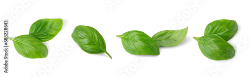 Stampa su tela Basil leaves isolated on white, transparent background, PNG