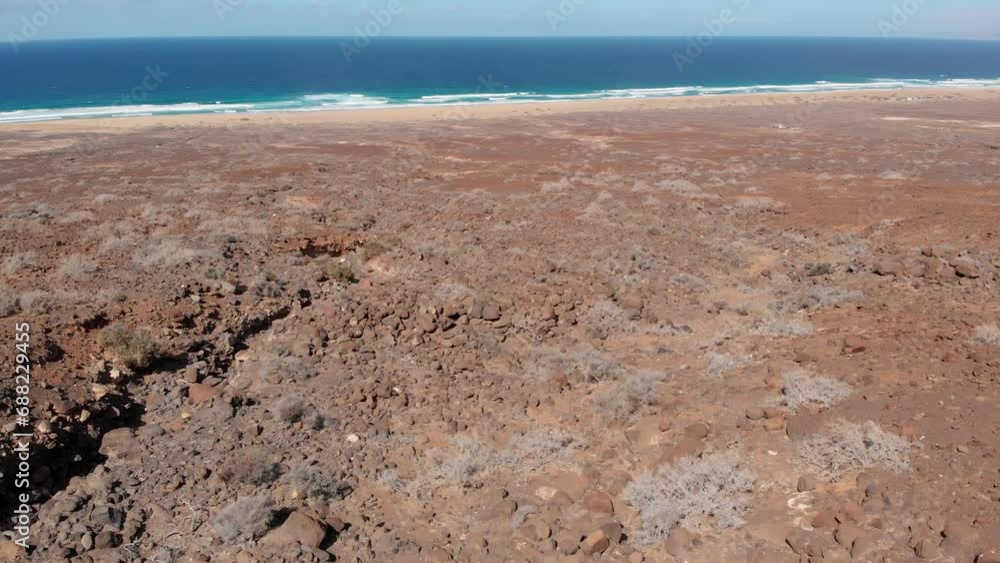aerial view of a desert beach of Fuerteventura with blue sea and arid land aerial view of a desert beach of Fuerteventura with blue sea and arid land