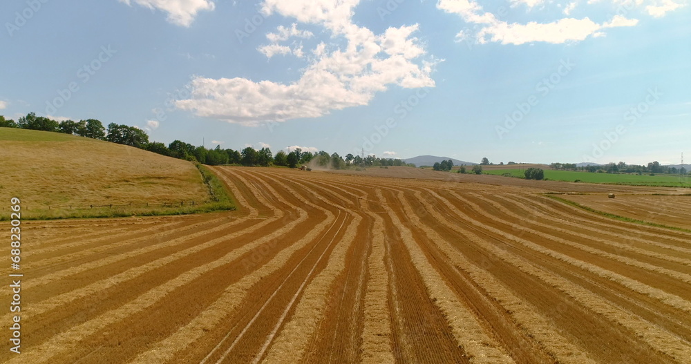 Freshly harvested wheat field 4K