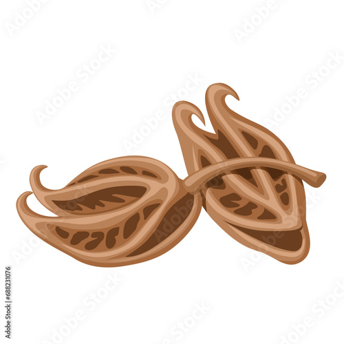 Vector illustration, Martynia annua, commonly known as cat's claw, tiger's claw, ice plant, or devil's claw, isolated on white background.