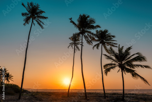 Palm trees in tropical beach at sunset, GOA, India. Fashion travel and tropical beach concept.