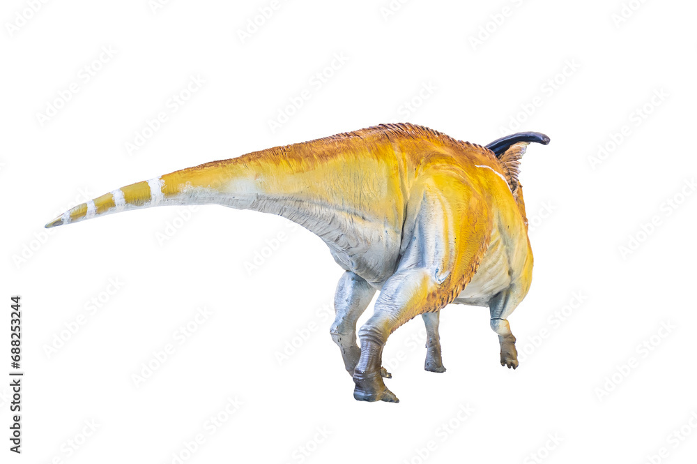 Fototapeta premium Parasaurolophus dinosaur isolated background