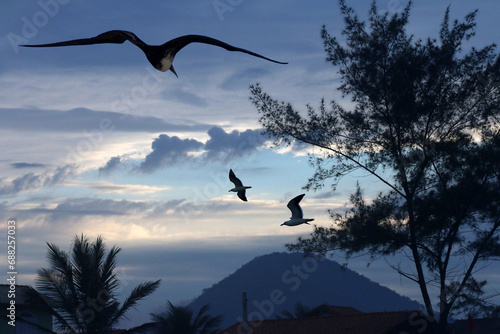 Um lindo Amanhecer em Cordeirinho com gaivotas e um fragata sobrevoando o lindo céu de Maricá - RJ photo