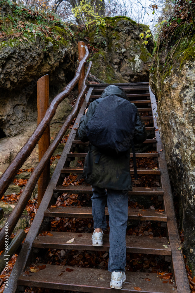 Umbrella-clad hiker ascends woodland steps.