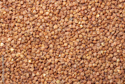 Dry Uncooked Brown Buckwheat Groats Background - Top View, Flat Lay. Raw Large Buckwheat Grains. Russian, Ukrainian and Belarusian Culture