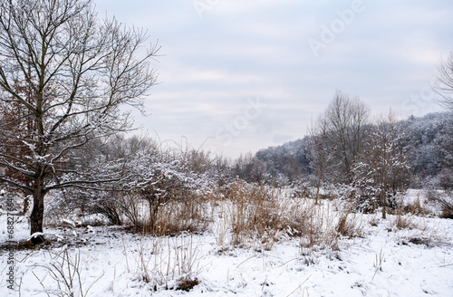 winter time, snow-covered trees and bushes, winter fairytale landscape