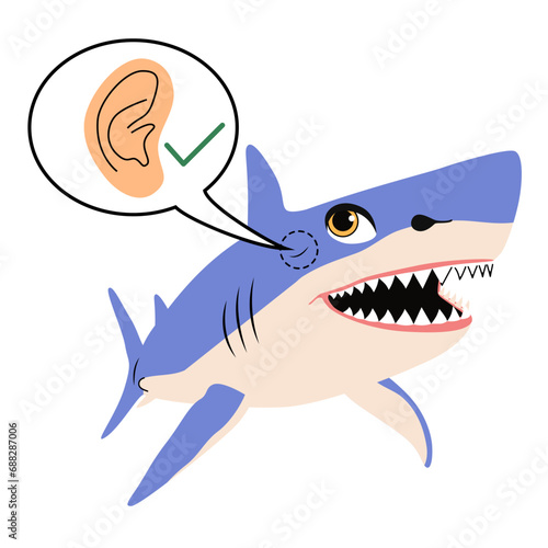 Infographic design of shark ear symbol vector illustration. Wild animal drawing explanation of educational knowledge content