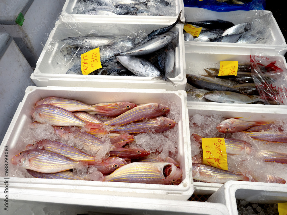 市場に並んだ鮮魚 市場に並んだ鮮魚