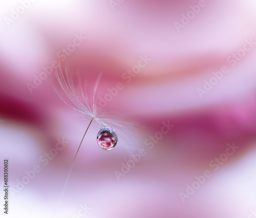 Beautiful Nature Background.Floral Art Design.Abstract Macro Photography.Pastel Flower.Dandelion Flowers.Pink Background.Creative Artistic Wallpaper.Wedding Invitation.Celebration,love.Close up View.