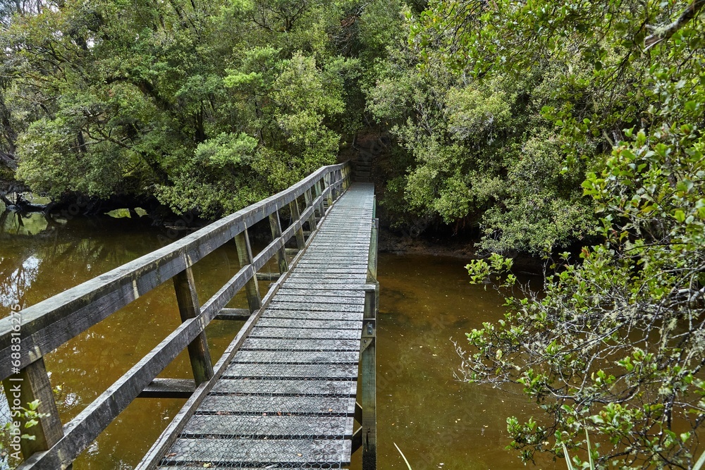 Wooden bridge over forest river, hiking track in Rakiura