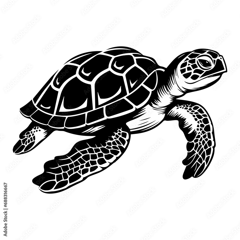 Turtle marine animal icon. Sea turtle silhouette. vector illustration Turtle marine animal icon. Sea turtle silhouette. vector illustration