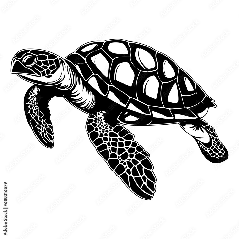 Obraz premium Turtle marine animal icon. Sea turtle silhouette. vector illustration