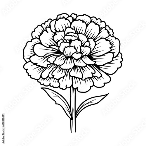 marigold flowers in outline tattoo style. Hand drawn marigold floral monochrome graphic illustration, Generative AI.