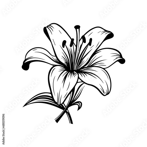 Fototapeta Naklejka Na Ścianę i Meble -  Lily Flower Illustration, Generative AI.