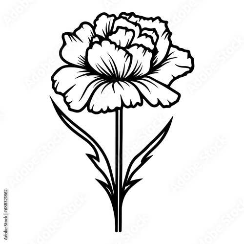 Carnation flower graphic black white isolated sketch illustration vector, Generative AI.