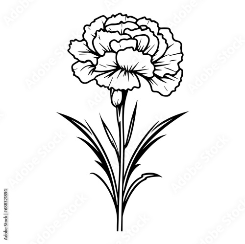 Carnation flower graphic black white isolated sketch illustration vector, Generative AI.
