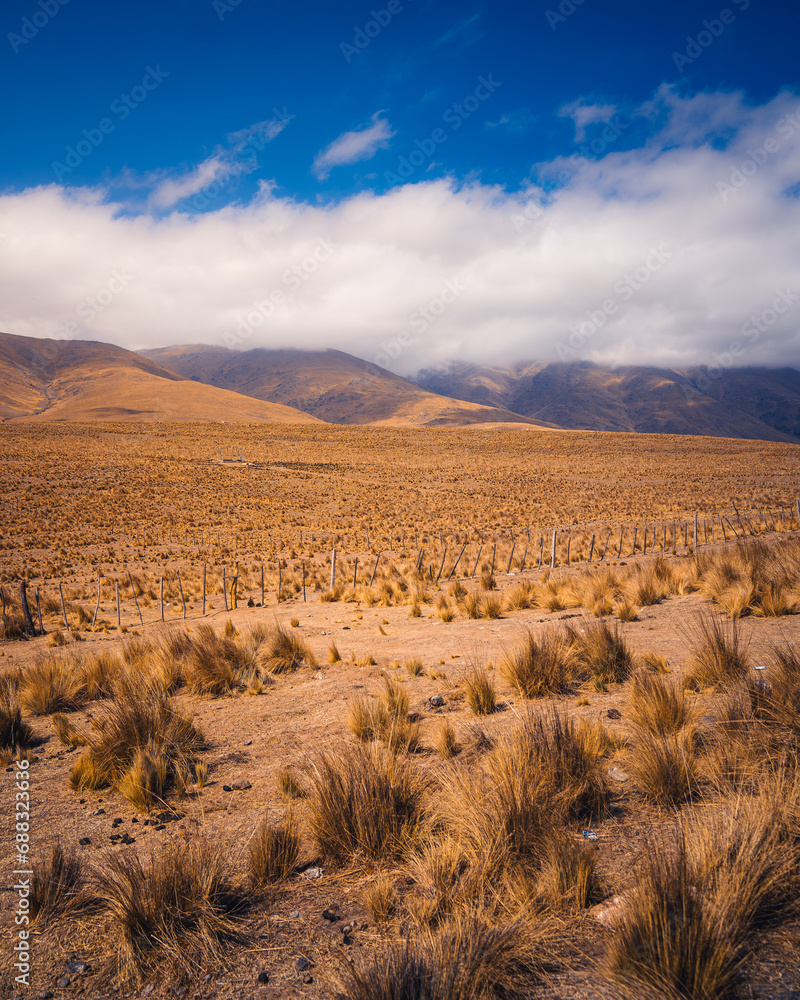 Naklejka premium landscape in the desert