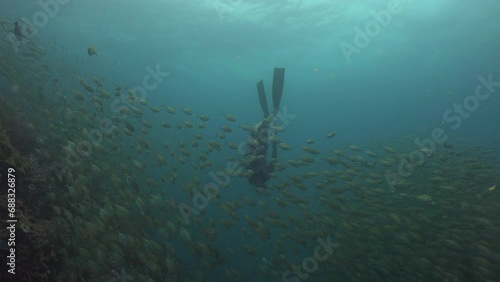 Freediver swims inside of a huge school of the yellowstripe scad (Selaroides leptolepis)  photo