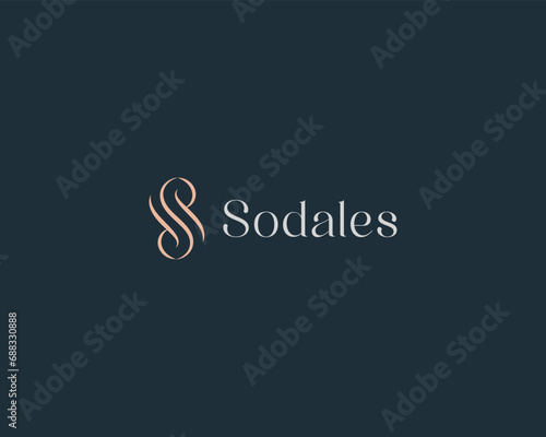 Graceful letter S logotype. Universal beauty salon boutique jewelry premium logo. Vector illustration.