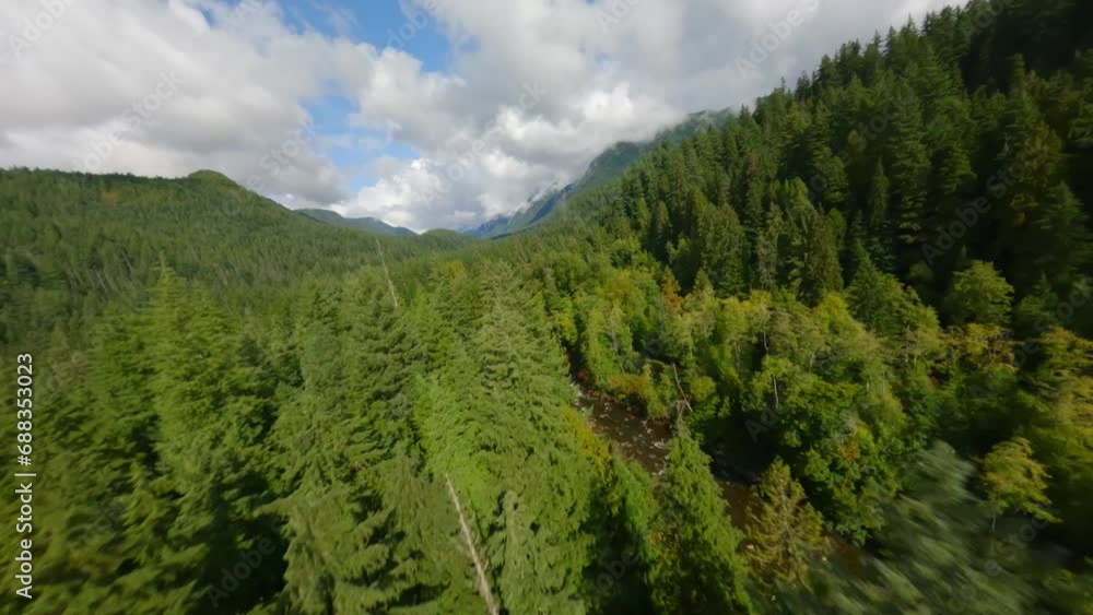 Flight by FPV drone over a mountain landscape and river. Canada. Flight by FPV drone over a mountain landscape and river. Canada.