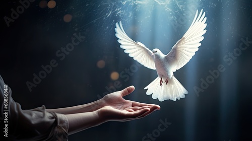 A flying dove in the hand as a symbol of hope and free photo