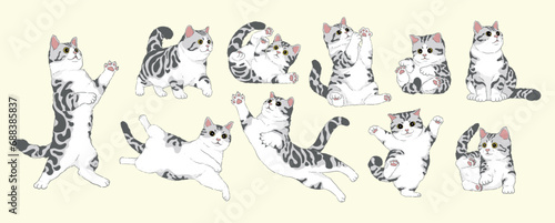 cute Cartoon American Shorthair Silver Tabby White cat set,Isolated. Vector illustration