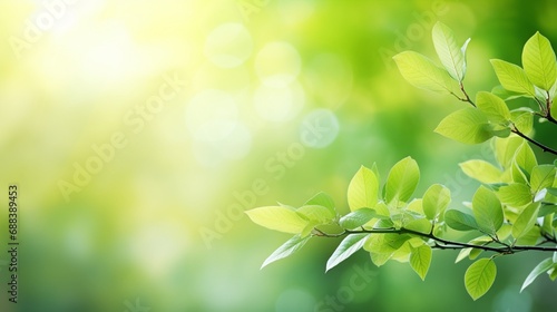 Spring background, green tree leaves on blurred background