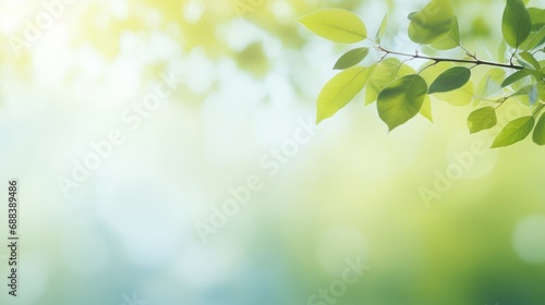 Spring background, green tree leaves on blurred background #688389486