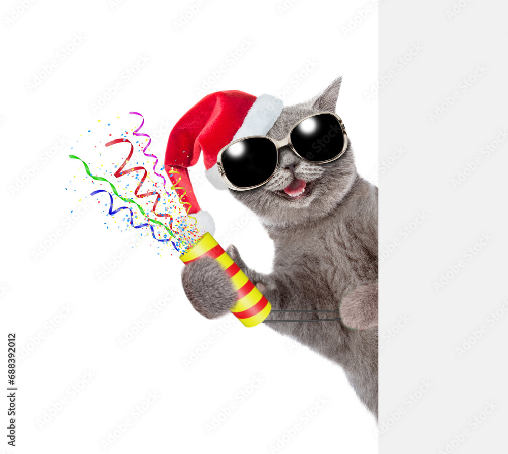 Happy cat wearing sunglasses and red santa hat holds exploding firecracker and looks from behind empty white banner. Isolated on white background