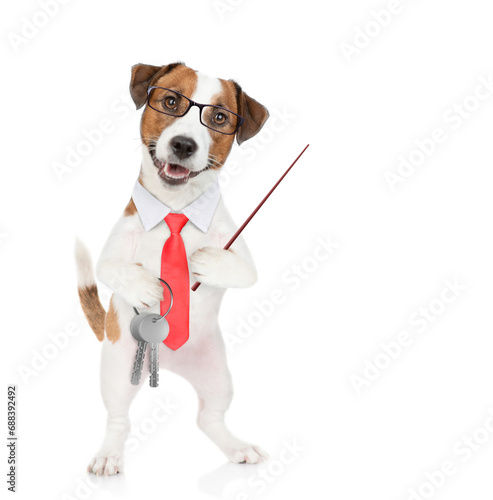Jack russell terrier puppy wearing necktie and eyeglasses holds in his paw the keys to a new apartment and points away on empty space. Isolated on white background © Ermolaev Alexandr