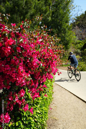 cycling in the park with red flowers as foreground 